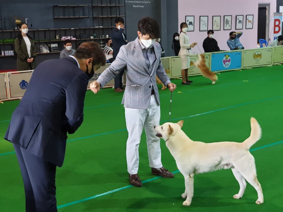 A Tentative Beginning